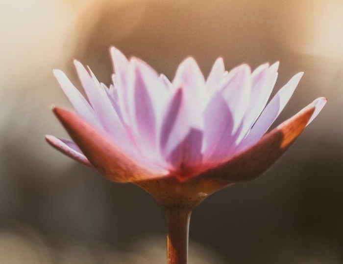 Оздоровительная программа - Санаторий «Надежда» Ессентуки