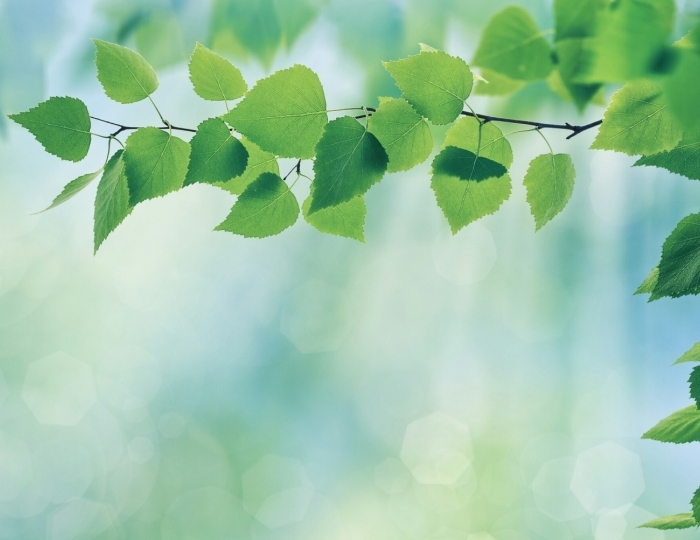 Восстановление после COVID-19 - Лечебные программы - Санаторий «Надежда» Ессентуки